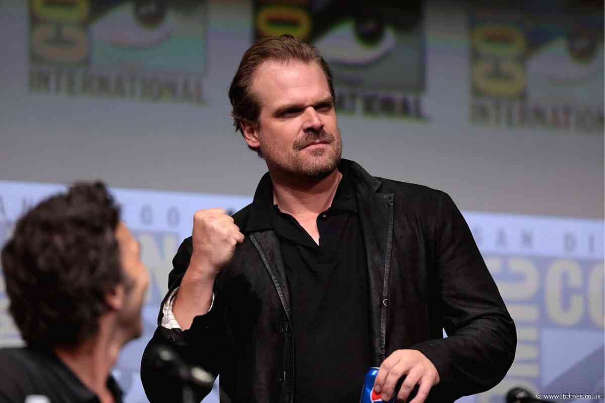 'The Investigation Went on for Months': How Did David Harbour Keep Working With Millie Bobby Brown?