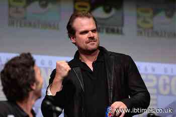 'The Investigation Went on for Months': How Did David Harbour Keep Working With Millie Bobby Brown?
