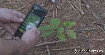WildQuest app turns wildlife photography into a game for citizen scientists