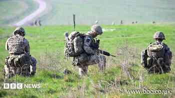 Some veterans to be called up to test UK's war resilience