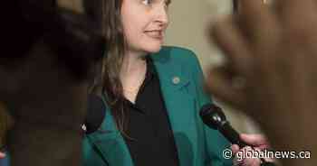 New Brunswick lawmaker Megan Mitton announces bid to lead provincial Green Party