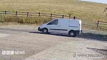 Appeal to locate van driver after death of cyclist