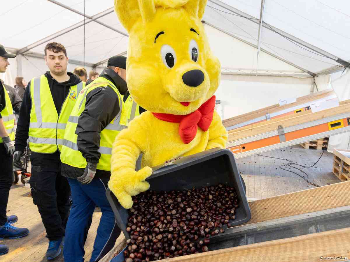 Kastanien für Haribo tauschen: Aktion abgesagt