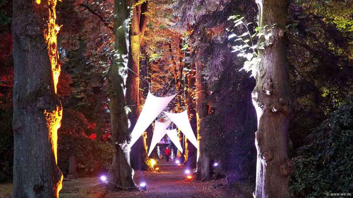 Leuchtende Alleen und stimmungsvolle Licht-Oasen: Lichter-Event verwandelt Stadt in NRW