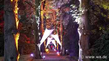 Leuchtende Alleen und stimmungsvolle Licht-Oasen: Lichter-Event verwandelt Stadt in NRW