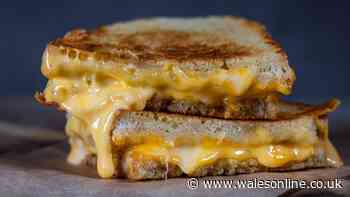 Adding 1 ingredient to cheese toasties makes them extra crispy every time