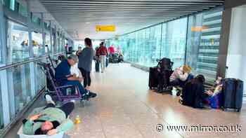 Heathrow chaos as weddings put at risk and disruption set to last all week after NATS meltdown