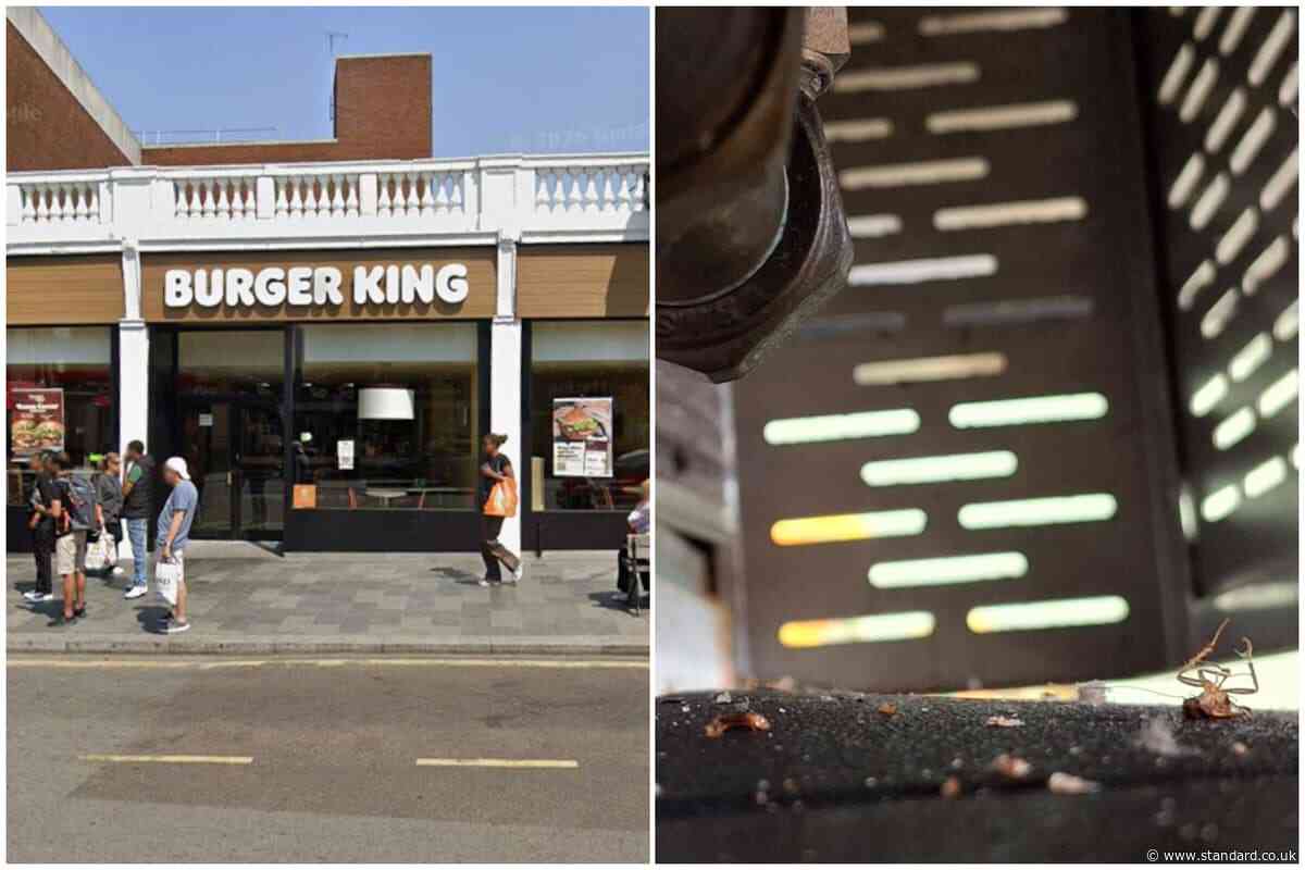 Burger King in south London handed one star hygiene rating after 'active cockroach infestation'