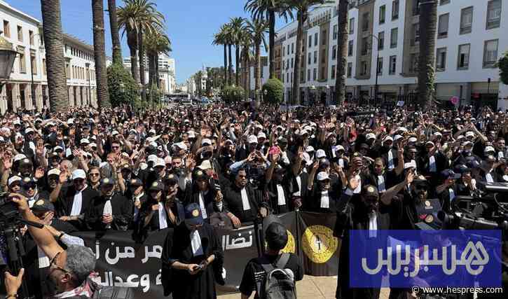 محامون شباب يتمسكون بوحدة الصف