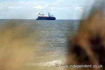Container ship arrives in UK after 25-day voyage from China via Arctic shortcut