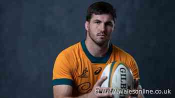 Wales may turn to seven new players before World Cup as Wallabies star to qualify