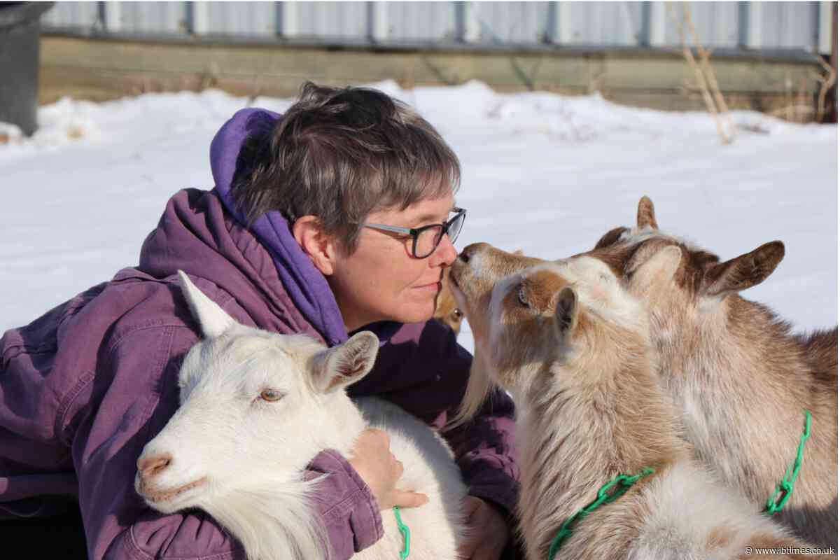 She Thought Writing a Book Would Make Her Money, Instead She Built a Six-Figure Business Around Goats