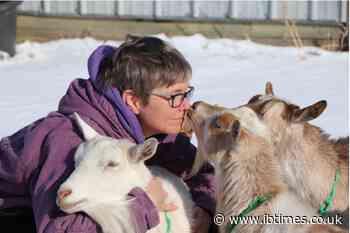 She Thought Writing a Book Would Make Her Money, Instead She Built a Six-Figure Business Around Goats
