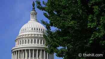 More Americans skeptical of government information: Survey