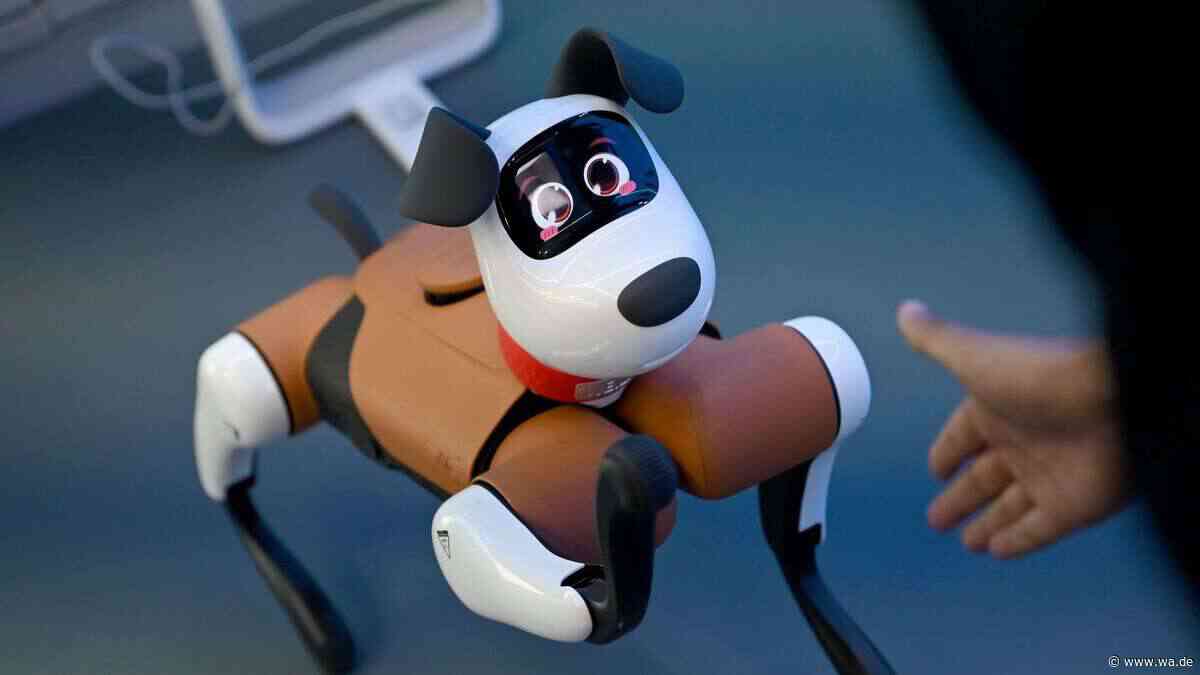 Bürohund wundert sich: Seit KI ist Perfektion plötzlich verdächtig