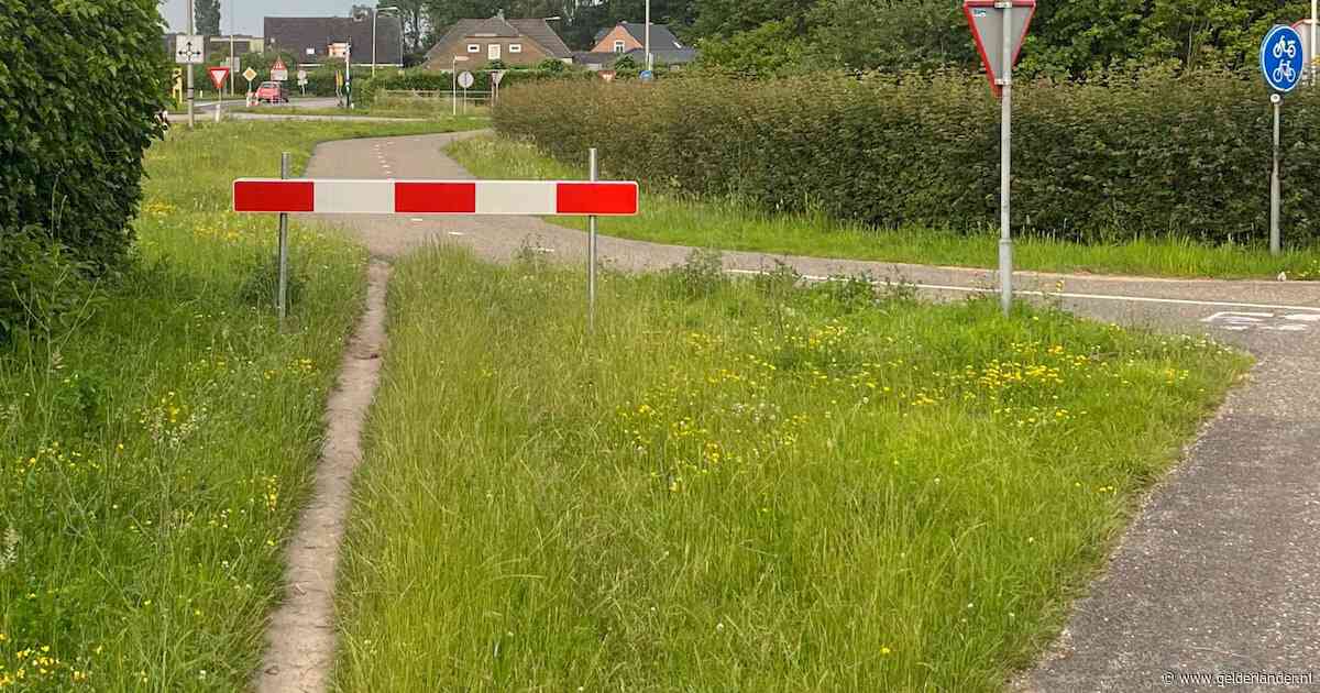 Provincie zet voor de tweede keer hek op Zevenaars olifantenpaadje, maar fietsers blijven nieuwe maken