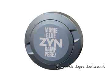 Vulnerable Democrat turns to Zyn-style merchandise to boost her campaign