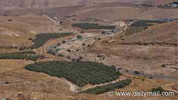 Muslim and Arab nations praise British sanctions on Israeli settlements