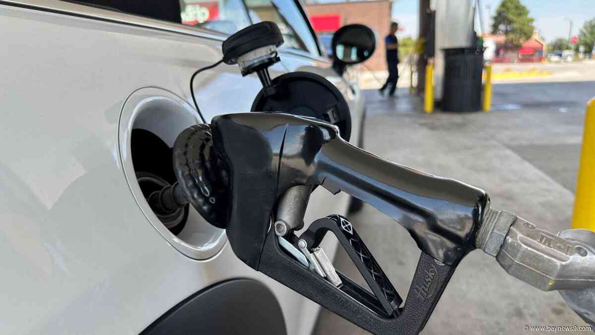 Oil rises past $100 a barrel after latest wave of Middle East attacks