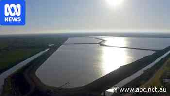 Watchdog's floodplain admission sparks call for immediate embargo