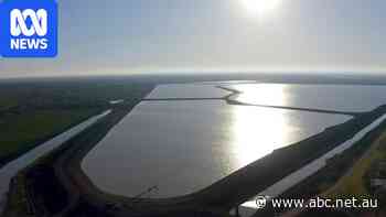Watchdog's floodplain admission sparks call for immediate embargo
