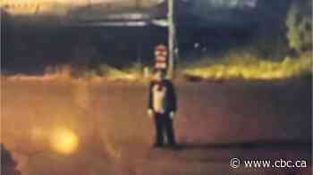 Police investigating after person in Cat in the Hat costume chases teen in West Kelowna