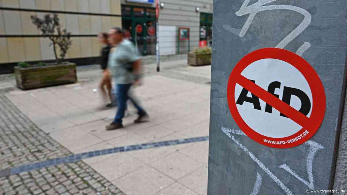 Bundeskanzler Merz: AfD-Verbot löst das Problem nicht
