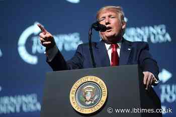 'New Socialist Right': Trump Administration's Proposed Stay-at-Home Subsidy Divides Republicans