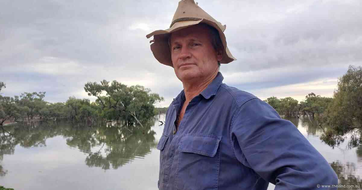 'Photos of damage is damage already done': kangaroo red tape strangling farmers