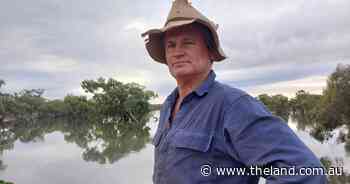 'Photos of damage is damage already done': kangaroo red tape strangling farmers