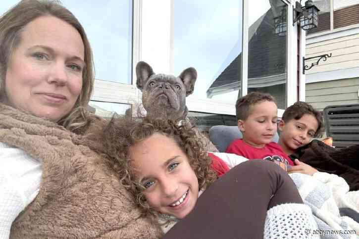 Where’s Bowdie, the French bulldog from Langley?