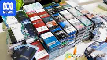 New tobacco laws target criminals from importers to shopfronts