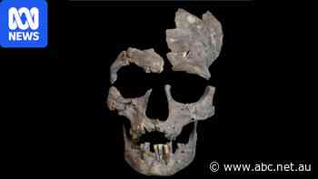 Oldest known evidence of human drug use discovered in fossil teeth