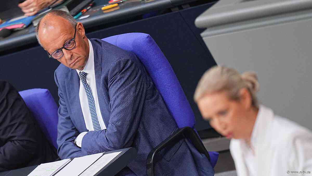 "Sehr hohe Hürde": Merz: Pauschales AfD-Verbot würde das Problem nicht lösen