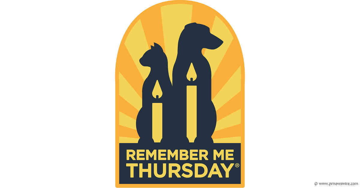 Emmy Winner Bob Odenkirk Lends His Name to Global Remember Me Thursday® Pet Adoption Campaign!