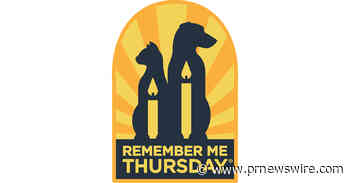 Emmy Winner Bob Odenkirk Lends His Name to Global Remember Me Thursday® Pet Adoption Campaign!