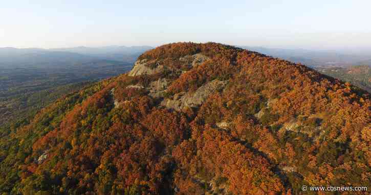 Hiker discovers remains of 2 bodies on Georgia's Mount Yonah, investigation underway