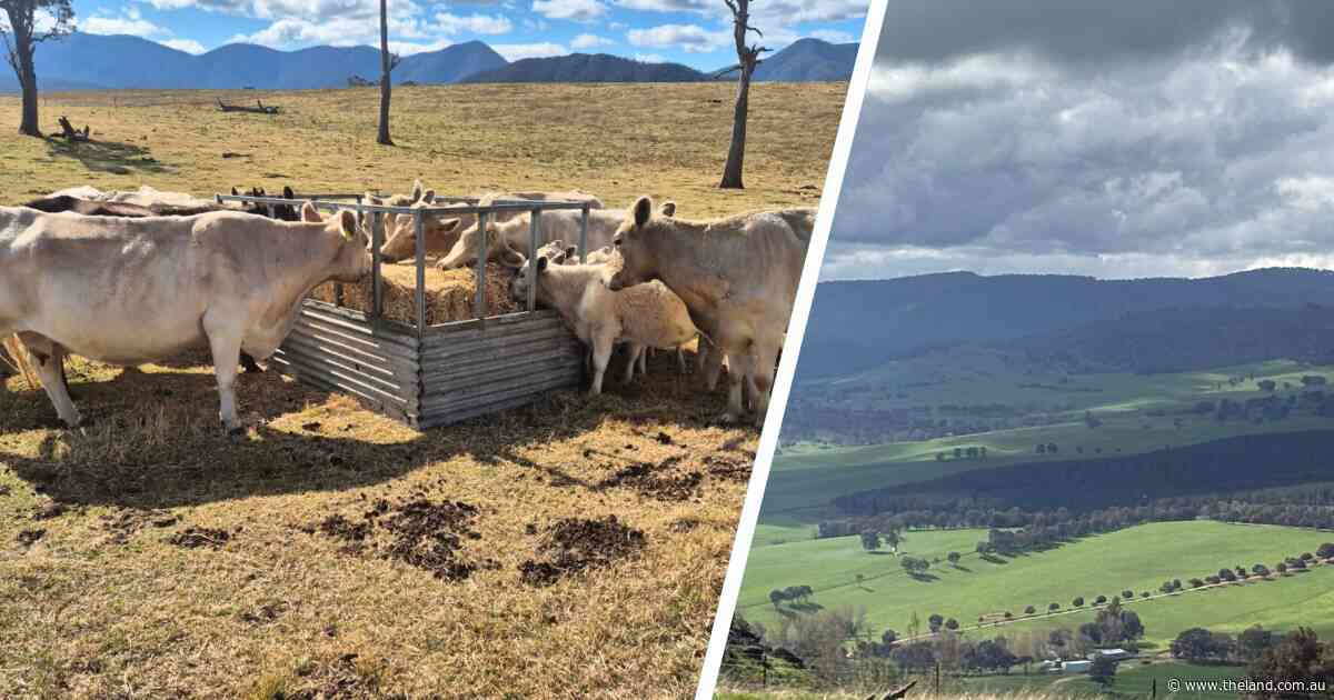 A tale of two seasons in the south as Great Dividing Range splits the winter
