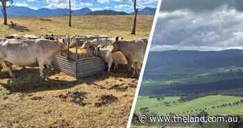 A tale of two seasons in the south as Great Dividing Range splits the winter