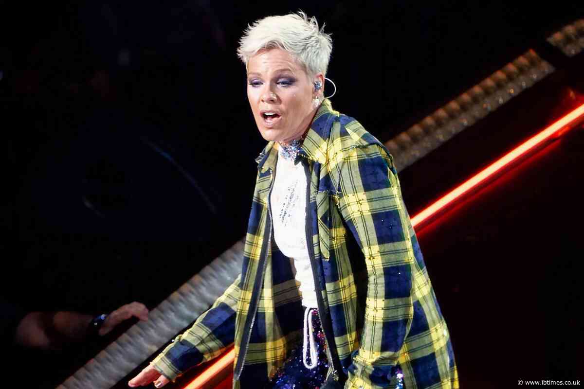 Pink Faces Fresh Backlash as 'Stupid Girls' and Her Past Jabs at Female Stars Resurface After Pro-Israel Macklemore Repost