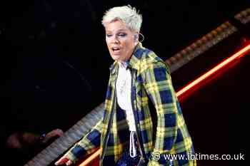Pink Faces Fresh Backlash as 'Stupid Girls' and Her Past Jabs at Female Stars Resurface After Pro-Israel Macklemore Repost