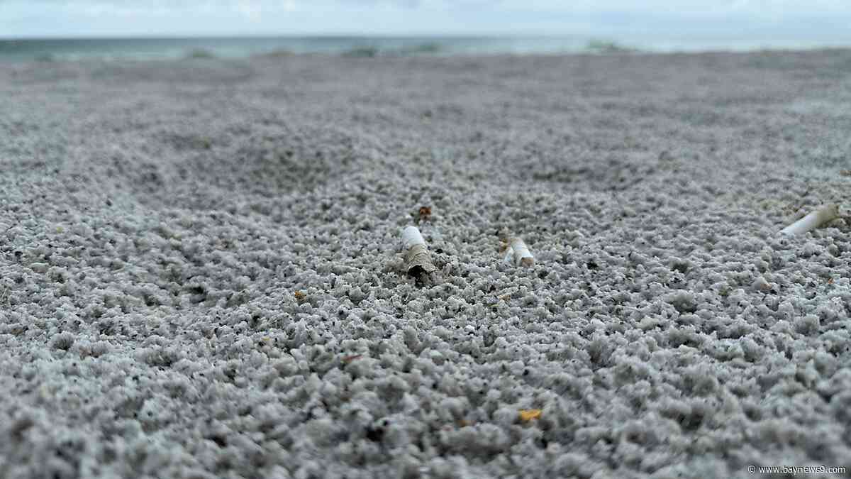 Indian Rocks Beach bans smoking and vaping on the beach