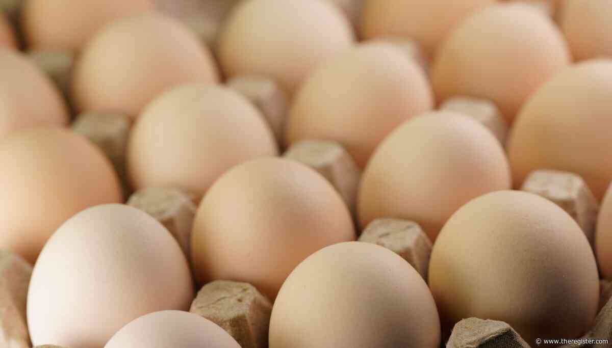 Chinese researchers find egg-cellent way to keep space debris from scrambling craft