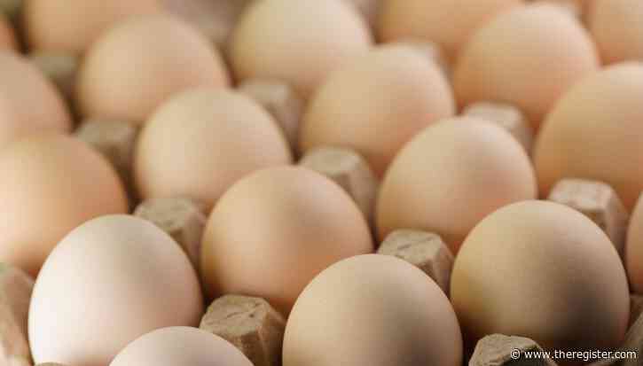 Chinese researchers find egg-cellent way to keep space debris from scrambling craft