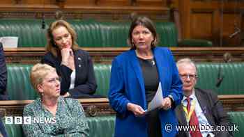 Barred MP 'had no intention of visiting Israel'