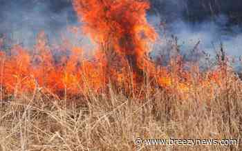 Woods Fire Sparks in Attala Tuesday Evening