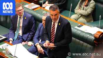 Live: SA premier warns Labor not to enter race to bottom with One Nation on migration
