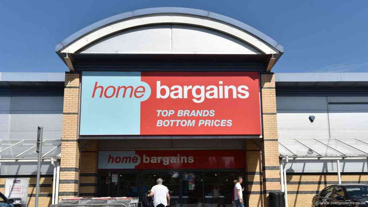 Home Bargains £40 Christmas decoration creates a light-up festive display in gardens