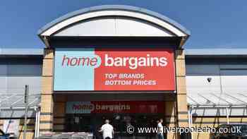 Home Bargains £40 Christmas decoration creates a light-up festive display in gardens