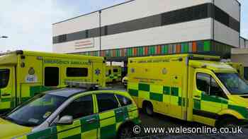 Welsh hospital A&E has 'plunging staff morale' and is threat to patient dignity